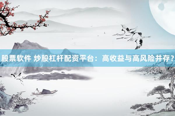 股票软件 炒股杠杆配资平台：高收益与高风险并存？
