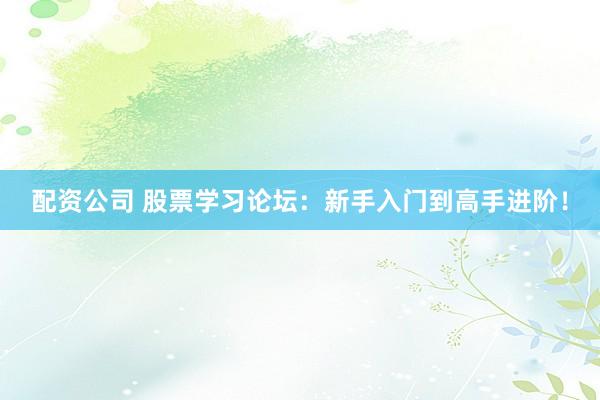 配资公司 股票学习论坛：新手入门到高手进阶！