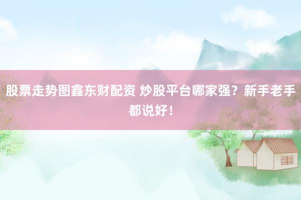 股票走势图鑫东财配资 炒股平台哪家强？新手老手都说好！