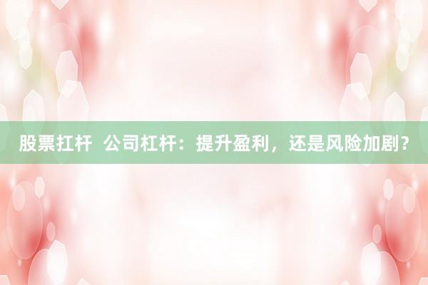 股票扛杆  公司杠杆：提升盈利，还是风险加剧？