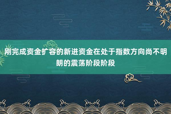 刚完成资金扩容的新进资金在处于指数方向尚不明朗的震荡阶段阶段